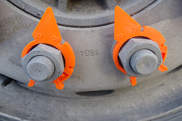 Introducción de la Compañía